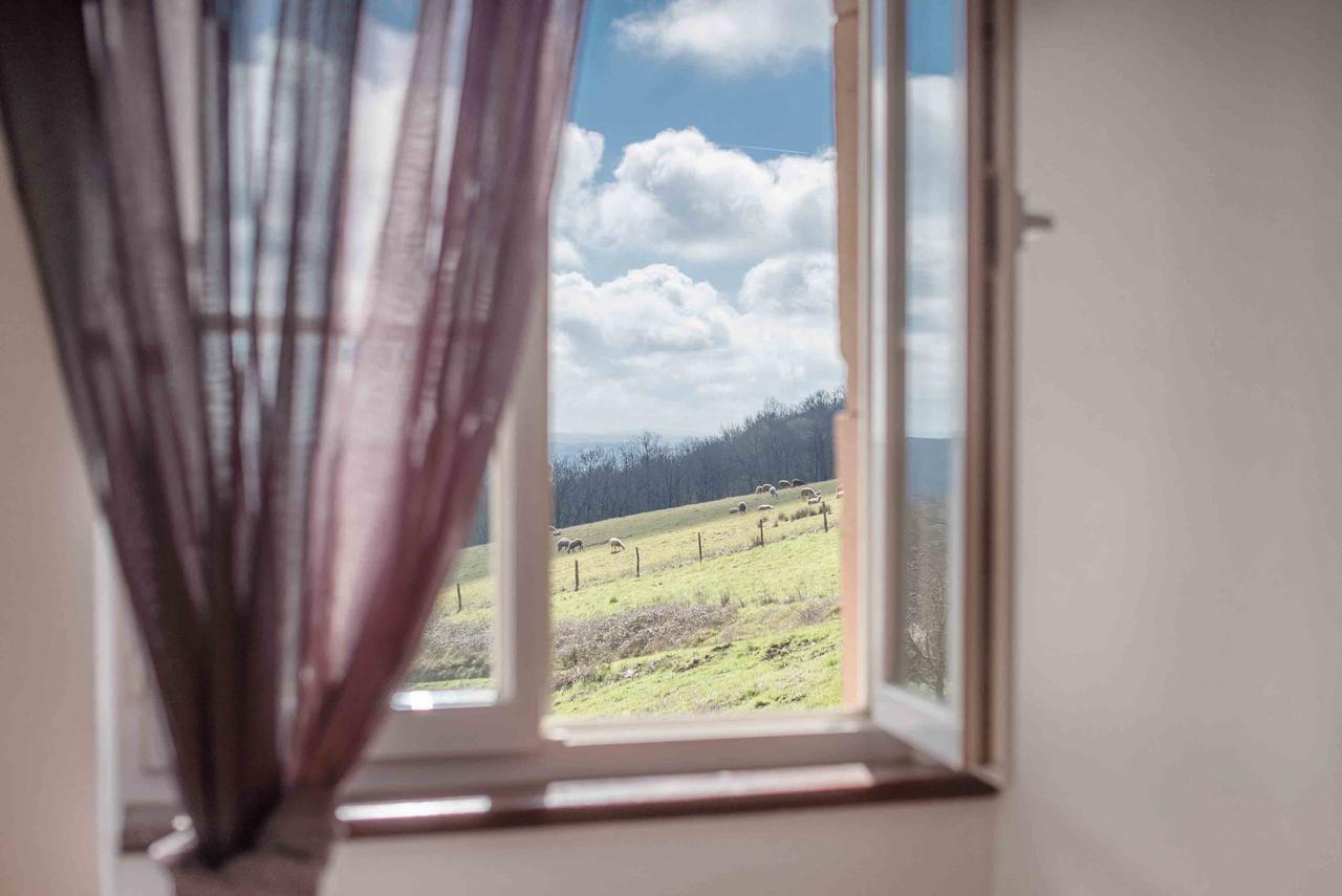 Chambres D'Hotes Le Pignie Lescure-dʼAlbigeois Zewnętrze zdjęcie